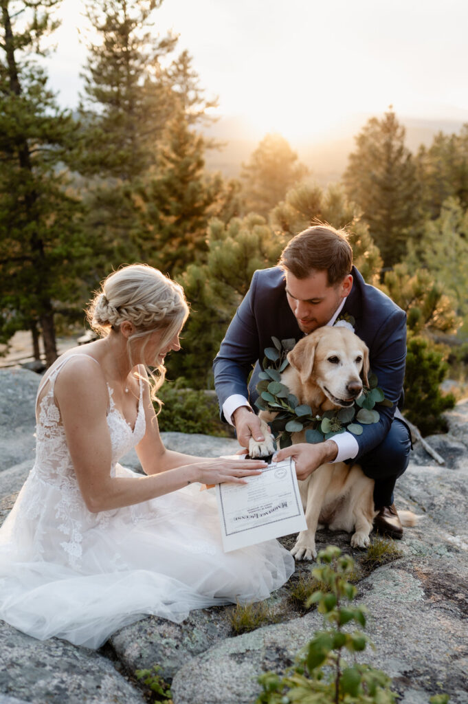 dog signing bride and grooms marriage license during their Colorado elopement